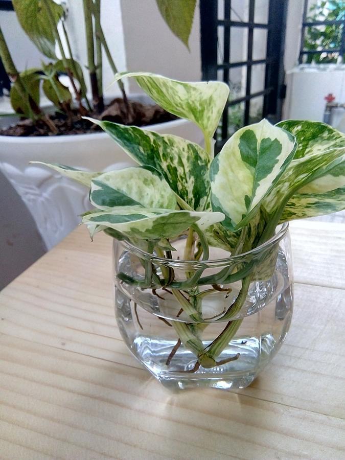 Lidu Home Can Tho Bagian luar foto